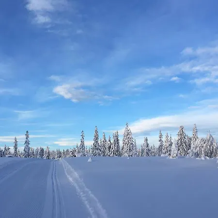 Cozy In With Kitchen Apartment Sjusjoen