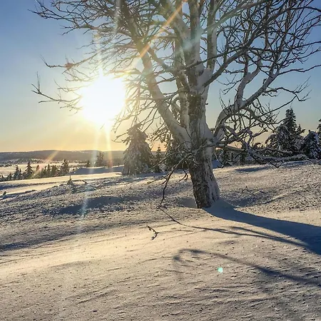 Cozy In With Kitchen Apartment Sjusjoen